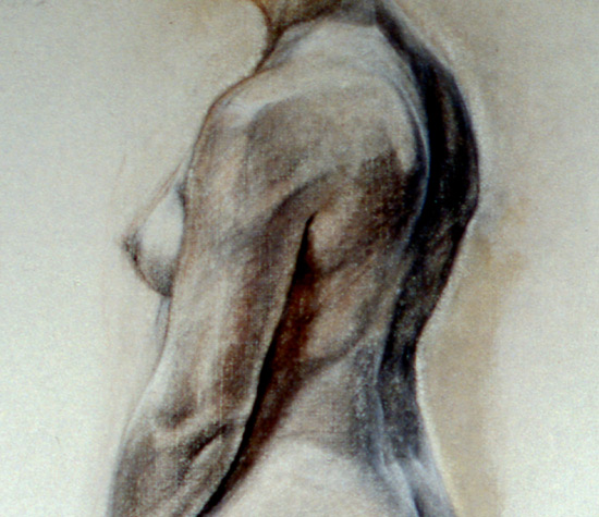 graphite drawing from male model